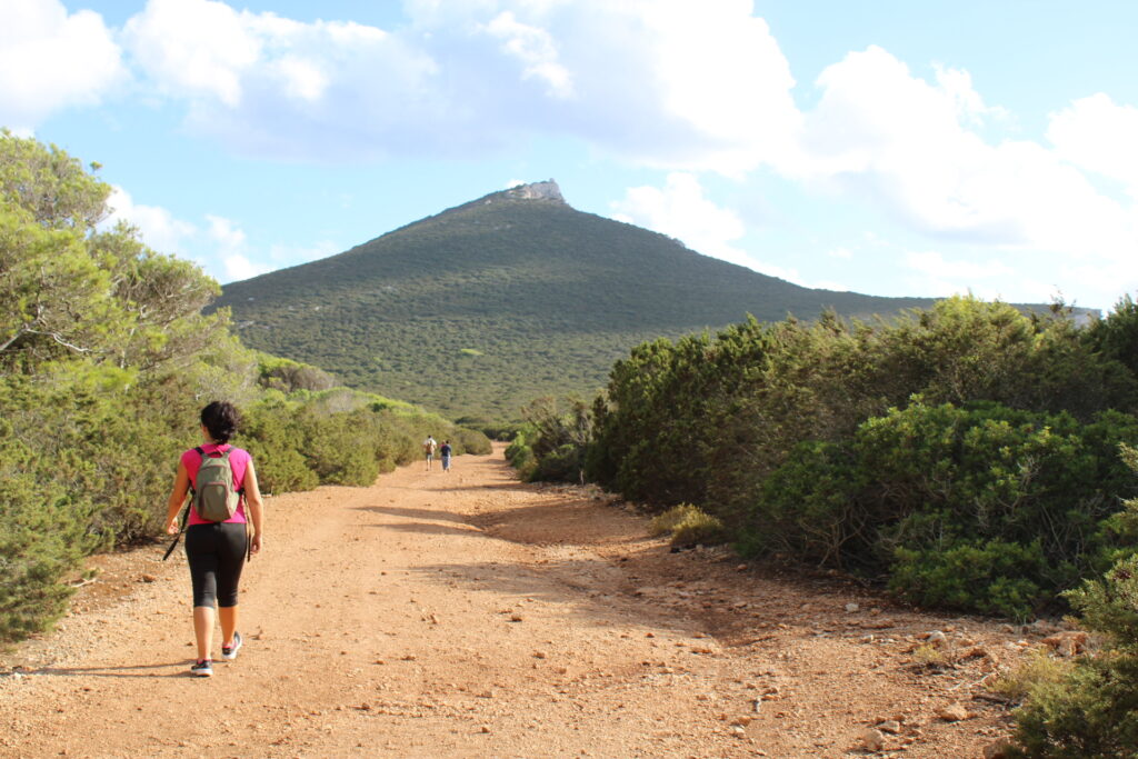 Day excursions in Alghero