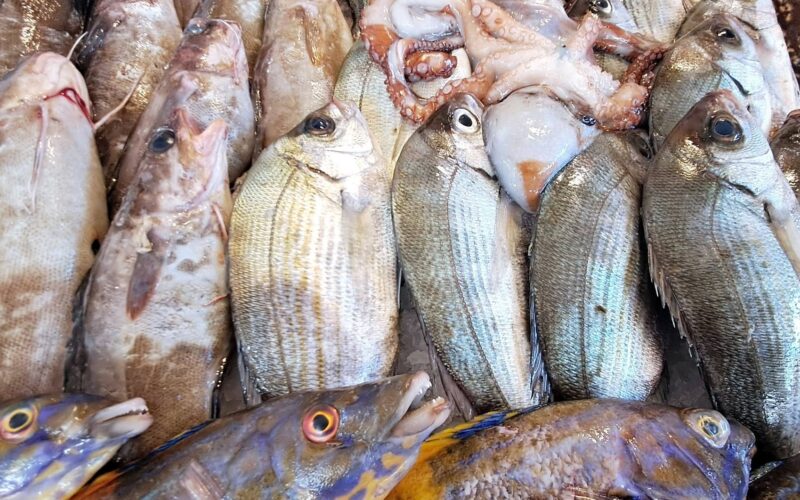mercato del pesce di Alghero